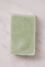 No Tox Life - Moisturizing Vegan Body Wash - Aloe & Coconut Milk - No Tox Life